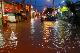 Triều cường gây ngập lụt tại huyện Nhà Bè. (Ảnh: Mạnh Linh/TTXVN)