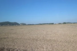 Ảnh chỉ có tính minh họa. (Ảnh: Nguyễn Văn Nhật/TTXVN)