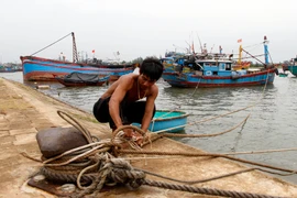 Ngư dân neo đậu tàu thuyền tránh bão. (Ảnh: Trần Tĩnh/TTXVN)