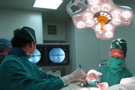 Ảnh chỉ có tính minh họa. (Ảnh: Thanh Thương/TTXVN)