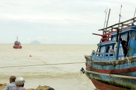 Ảnh chỉ có tính minh họa. (Ảnh: Nguyên Lý/TTXVN)