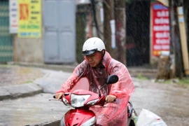 Ảnh chỉ có tính minh họa. (Ảnh: Lê Minh Sơn/Vietnam+) 