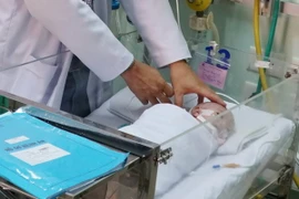 Ảnh chỉ có tính minh họa. (Ảnh: Phương Vy/TTXVN)