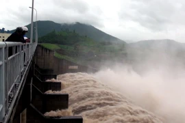 Ảnh chỉ có tính minh họa. (Ảnh: Thế Lập/TTXVN)