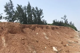 Ảnh chỉ có tính minh họa. (Ảnh: Thanh Thủy/TTXVN)