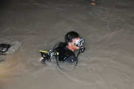 Ảnh chỉ có tính minh họa. (Ảnh: Sỹ Tuyên/TTXVN)