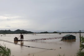 Mực nước tại sông Hoàng Long khu vực bến Đế chiều 11/10 đạt mức 4,73m. (Ảnh: Ninh Đức Phương/TTXVN)