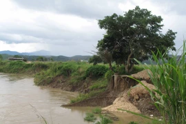 Dấu tích của một ngôi nhà vừa dòng sông nuốt chửng. (Ảnh: Anh Dũng/TTXVN)