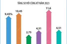 GRDP 6 tháng năm 2024 của tỉnh Ninh Bình ước tăng 8,19% 
