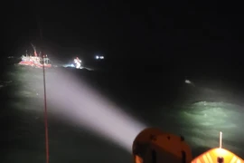 Ảnh minh họa. (Nguồn: TTXVN)