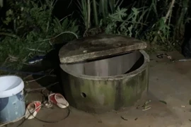 Ảnh minh họa. (Nguồn: VOV)