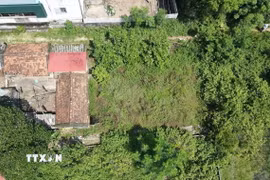 Ảnh minh họa. (Nguồn: TTXVN)
