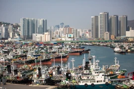 Cảng hàng hóa ở Busan, Hàn Quốc. (Ảnh: THXTTXVN)