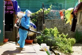 Cán bộ Trung tâm Y tế thành phố Đồng Hới phun hóa chất diệt muỗi, phòng, chống sốt xuất huyết. (Ảnh: Nguyễn Hoàng/TTXVN phát)
