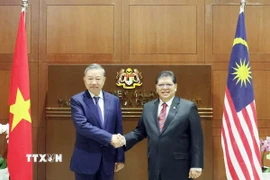 Tổng Bí thư Tô Lâm hội kiến Chủ tịch Hạ viện Malaysia Tan Sri Dato’ Johari Bin Abdul. (Ảnh: Thống Nhất/TTXVN)