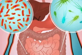 Australia: Bùng phát dịch ký sinh trùng đường tiêu hóa lớn nhất trong hơn 20 năm