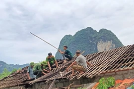 Lực lượng chức năng huyện Hạ Lang, tỉnh Cao Bằng giúp người dân khắc hậu quả của dông lốc. (Ảnh: TTXVN phát)