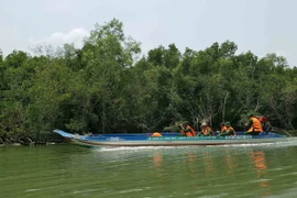 Lực lượng Thanh niên Xung phong Thành phố Hồ Chí Minh tuần tra bảo vệ rừng ngập mặn Cần Giờ. (Ảnh: Xuân Dự/TTXVN)