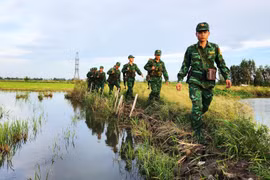 Cán bộ chiến sỹ Đồn Biên phòng Vĩnh Nguơn (An Giang) tuần tra, kiểm soát biên giới. (Ảnh: Công Mạo/TTXVN)