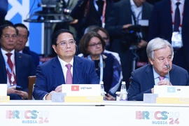 Thủ tướng Phạm Minh Chính tham dự và phát biểu tại Phiên toàn thể Hội nghị các Nhà lãnh đạo Nhóm BRICS mở rộng. (Ảnh: Dương Giang/TTXVN)