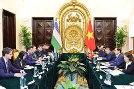Bộ trưởng Bộ Ngoại giao Bùi Thanh Sơn hội đàm với Bộ trưởng Ngoại giao Uzbekistan Bakhtiyor Saidov. (Ảnh: Minh Đức/TTXVN)