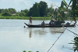 Ảnh minh họa. (Ảnh: TTXVN phát)