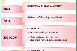 Tổng quan về quan hệ Đối tác chiến lược giữa Việt Nam và Brazil 