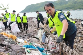 Nhân viên Ban Quản lý vịnh Nha Trang cùng các tình nguyện viên dọn rác tại khu vực bờ kè biển Vĩnh Trường, sát bến tàu du lịch Nha Trang. (Ảnh: Phan Sáu/TTXVN)