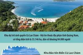 Những giá trị đặc trưng, nổi bật của Khu Dự trữ Sinh quyển Thế giới Cù Lao Chàm 