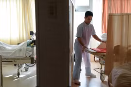 Nhật Bản nới lỏng quy định thị thực mới cho phép sinh viên nước ngoài tìm việc. (Nguồn: Bloomberg)