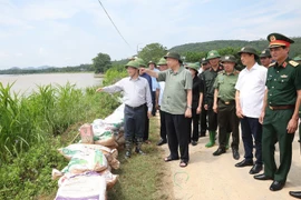 Tổng Bí thư, Chủ tịch nước Tô Lâm kiểm tra công tác củng cố, khắc phục một số điểm xung yếu ở đê sông Lô, xã Trường Sinh, huyện Sơn Dương, tỉnh Tuyên Quang. (Ảnh: Trí Dũng/TTXVN)