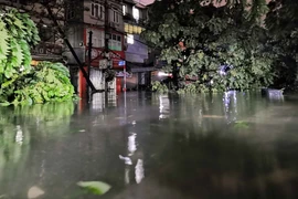 Bão số 3 đổ vào Hà Nội đã khiến cho hai hàng cây trên tuyến phố Dương Văn Bé (quận Hai Bà Trưng) đổ la liệt, cùng với nước ngập sâu tràn vào nhiều nhà dân. (Ảnh: Thanh Tùng/TTXVN)