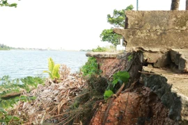 Bờ sông Thạch Hãn đoạn qua phường Đông Lương, thành phố Đông Hà (Quảng Trị) bị sạt lở gây hư hỏng bờ kè. (Ảnh: Nguyên Lý/TTXVN)