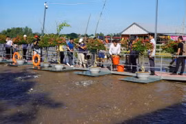 Du khách tham quan và trải nghiệm cho cá ăn trên sông Tiền (thuộc phường An Thạnh, thành phố Hồng Ngự). (Ảnh: Nhựt An/TTXVN)