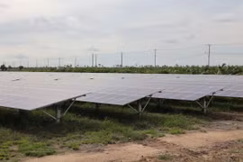 Các tấm pin quang năng điện mặt trời. (Ảnh: Minh Hưng/TTXVN)