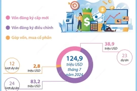 Tổng vốn đầu tư nước ngoài đăng ký vào Hà Nội tăng 65% trong 7 tháng năm 2024 