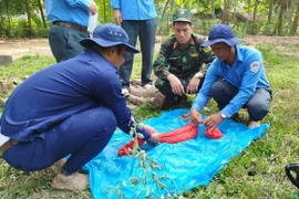 Đội K92 cất bốc, quy tập hài cốt liệt sỹ. (Ảnh: TTXVN phát)