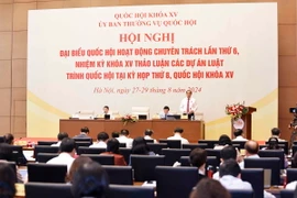 Quang cảnh phiên họp. (Ảnh: Doãn Tấn/TTXVN)