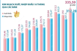 Kim ngạch xuất, nhập khẩu 10 tháng năm 2024 của cả nước tăng 15,8%