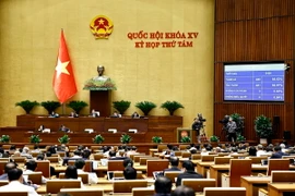 Quốc hội biểu quyết thông qua Luật Đầu tư công (sửa đổi). (Ảnh: Doãn Tấn/TTXVN)