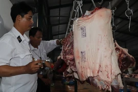 Kiểm tra việc đóng dấu kiểm soát giết mổ. (Ảnh: Nguyễn Hằng/TTXVN)