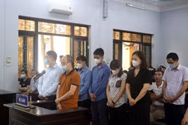 Các bị cáo tại phiên tòa. (Ảnh: Đinh Văn Nhiều/TTXVN)