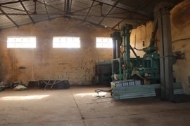 Bên trong kho tại lô đất rộng khoảng 4ha do Công ty TNHH Một thành viên càphê 731 quản lý, nằm ở khu vực được quy hoạch khu dân cư tại tổ dân phố 2A thị trấn Đăk Hà bị bỏ hoang, không dùng nhiều năm. (Ảnh: Cao Nguyên/TTXVN)
