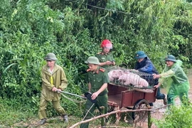 Công an Vĩnh Phúc phối hợp với lực lượng chức năng sơ tán tài sản, giúp người dân vùng ngập lụt. (Ảnh: Nguyễn Thảo/TTXVN)