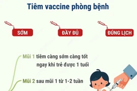CDC Hà Nội hướng dẫn phòng bệnh viêm não Nhật Bản 