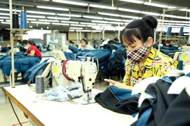 May hàng xuất khẩu tại công ty may Hồ Gươm, Mỹ Hào, Hưng Yên. (Ảnh: Trần Việt /TTXVN)