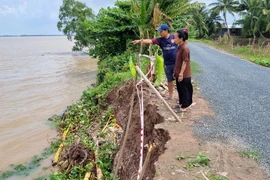 Sạt lở sông Hậu ở ấp An Bình, xã Hòa Tân, huyện Cầu Kè ngày càng nghiêm trọng. (Ảnh: Thanh Hòa/TTXVN)