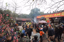 Người dân và du khách đến đền Trần (Nam Định) để dâng hương, dâng lễ đầu Xuân. (Ảnh: Minh Quyết/ TTXVN)