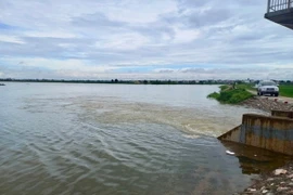 Lũ trên sông Bùi đang lên nhanh. (Nguồn: Báo Nông Nghiệp)