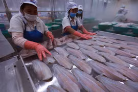 Chế biến thủy sản xuất khẩu. (Ảnh: Đức Duy/Vietnam+)